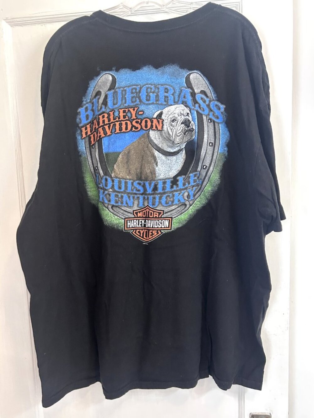 Harley-Davidson Black Graphic T-Shirt, SZ 2XL - Picture 3 of 5